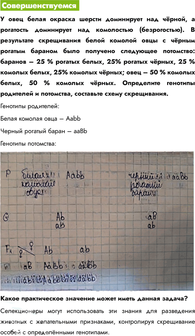 Иллюстрация к решению «Параграф 6 ГДЗ Пасечник 11 класс (Биология)», 3