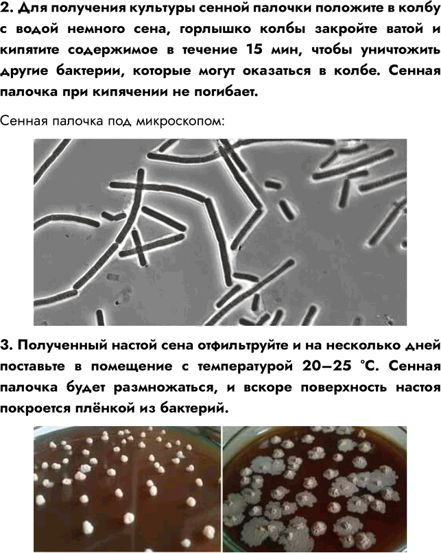 Иллюстрация к решению «Параграф 20 ГДЗ Пасечник Суматохин Гапонюк 7 класс (Биология)», 5