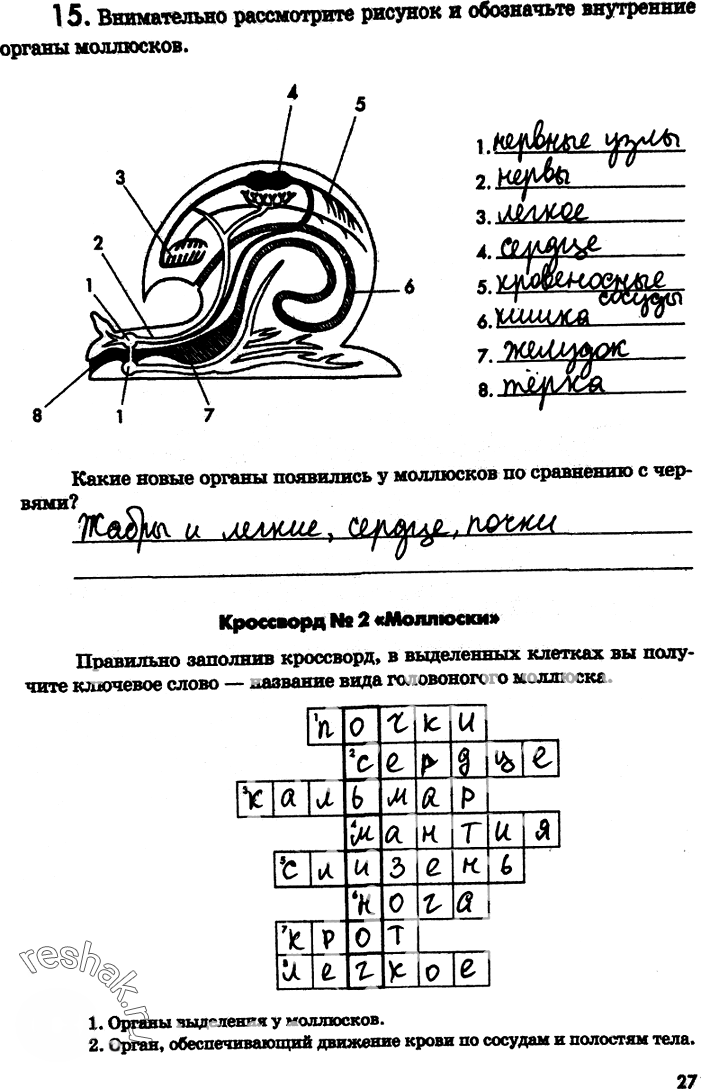 Иллюстрация к решению «Страница 27 с ответами ГДЗ Латюшин Рабочая тетрадь 7 класс (Биология)», 1