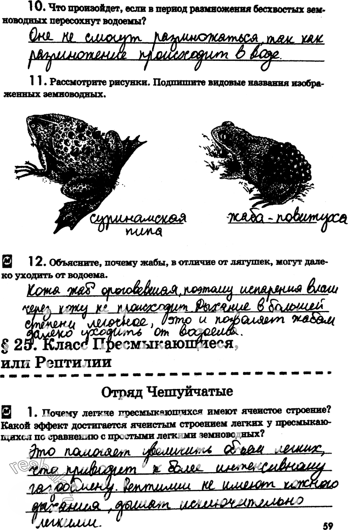 Иллюстрация к решению «Страница 59 с ответами ГДЗ Латюшин Рабочая тетрадь 7 класс (Биология)», 1