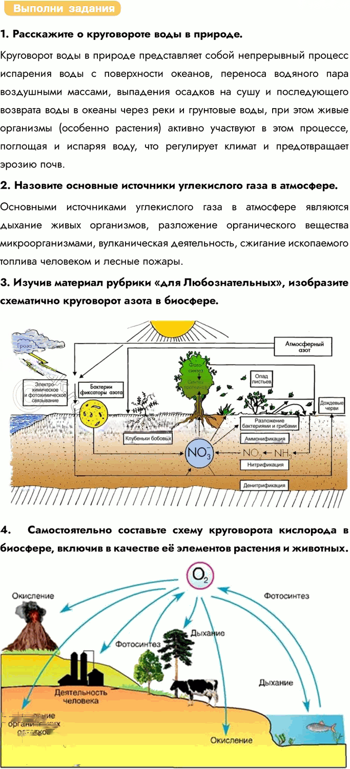 Иллюстрация к решению «Параграф 31 ГДЗ Каменский 11 класс (Биология)», 2