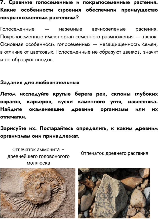 Иллюстрация к решению «Параграф 24 ГДЗ Пасечник 5 класс Бактерии Грибы Растения (Биология)», 3