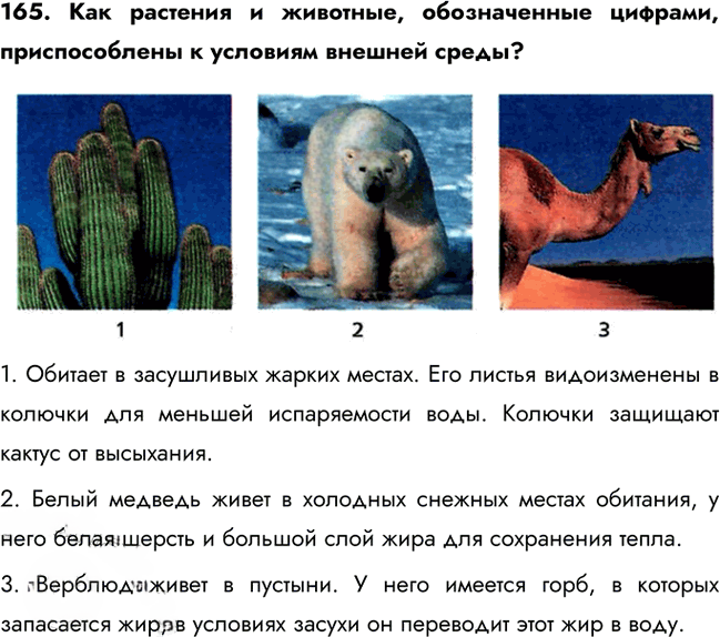 Иллюстрация к решению «Задание 165 ГДЗ Рабочая тетрадь Сонин 6 класс (Биология)», 1