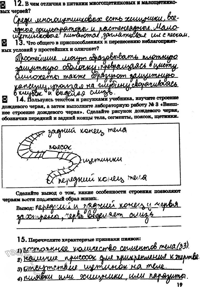 Иллюстрация к решению «Страница 19 с ответами ГДЗ Латюшин Рабочая тетрадь 7 класс (Биология)», 1