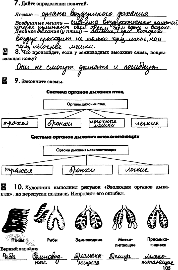 Иллюстрация к решению «Страница 105 с ответами ГДЗ Латюшин Рабочая тетрадь 7 класс (Биология)», 1