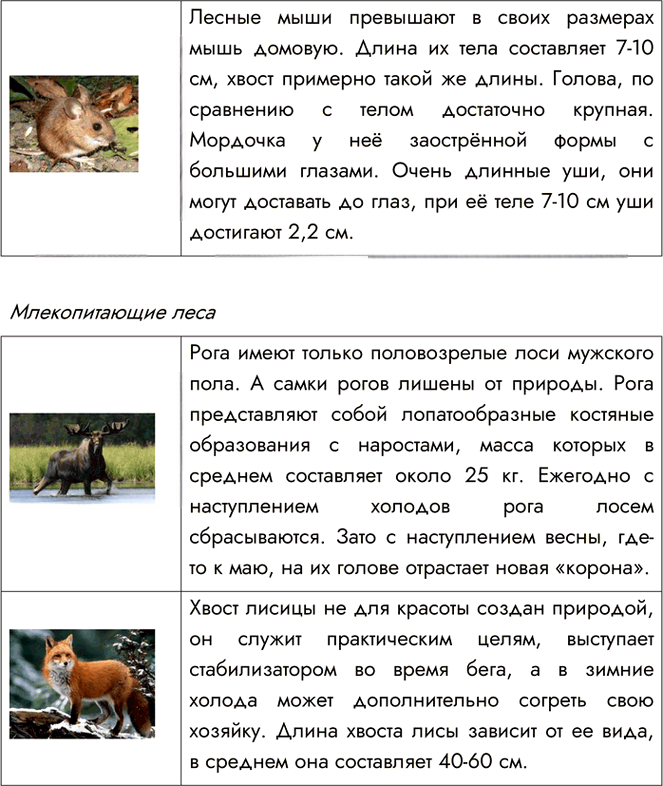 Иллюстрация к решению «Задание 6 Параграф 20 ГДЗ Рабочая тетрадь Пономарева 5 класс (Биология)», 3