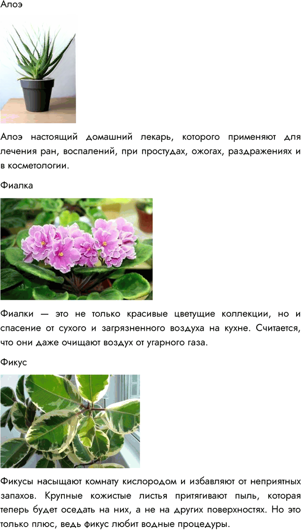Иллюстрация к решению «Введение ГДЗ Пасечник Суматохин 6 класс (Биология)», 6