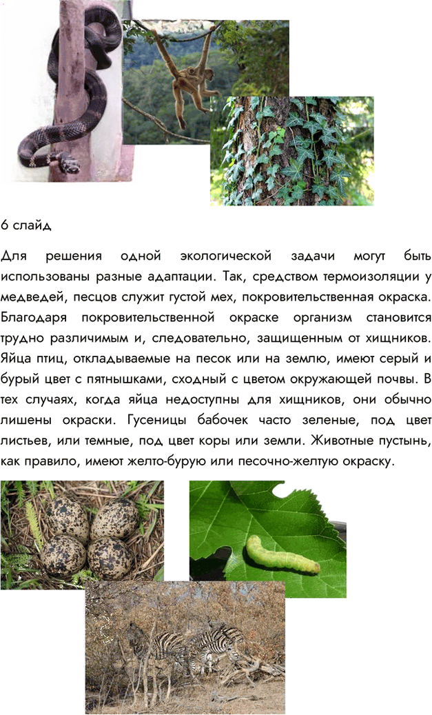 Иллюстрация к решению «Параграф 29 ГДЗ Пасечник 7 класс (Биология)», 7
