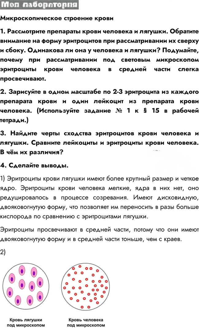 Иллюстрация к решению «Параграф 15 ГДЗ Пасечник 8 класс (Биология)», 2