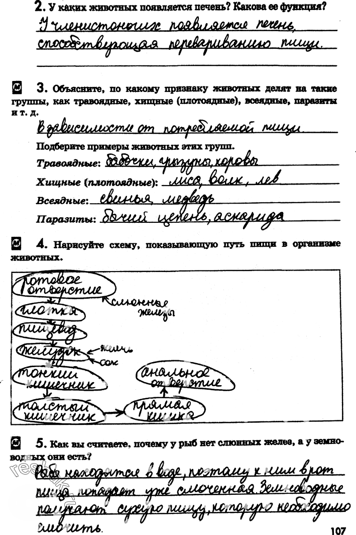 Иллюстрация к решению «Страница 107 с ответами ГДЗ Латюшин Рабочая тетрадь 7 класс (Биология)», 1