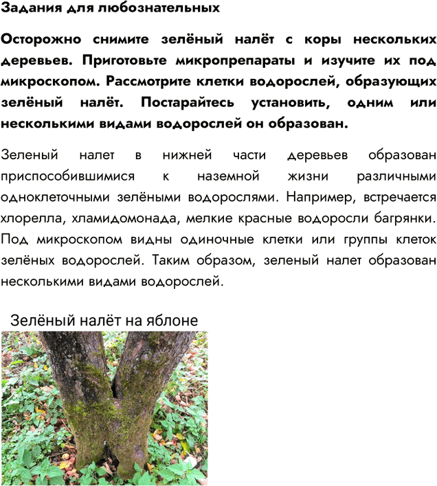 Иллюстрация к решению «Параграф 18 ГДЗ Пасечник 5 класс Бактерии Грибы Растения (Биология)», 7