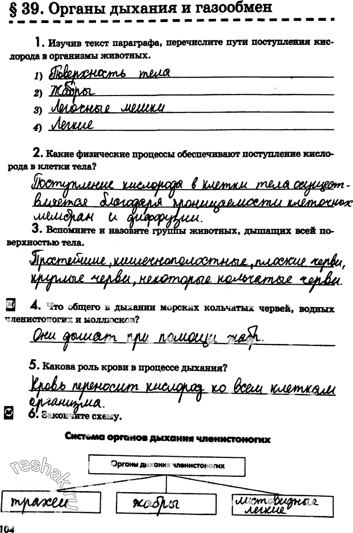 Иллюстрация к решению «Страница 104 с ответами ГДЗ Латюшин Рабочая тетрадь 7 класс (Биология)», 1