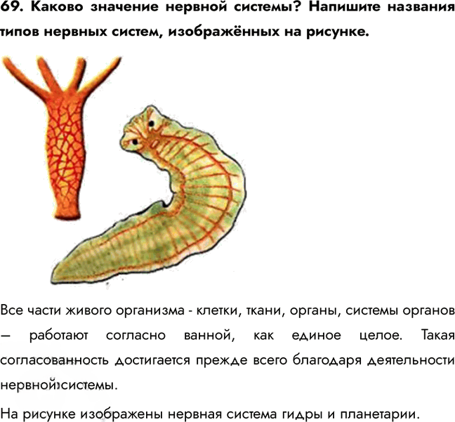 Иллюстрация к решению «Задание 69 ГДЗ Рабочая тетрадь Сонин 6 класс (Биология)», 1