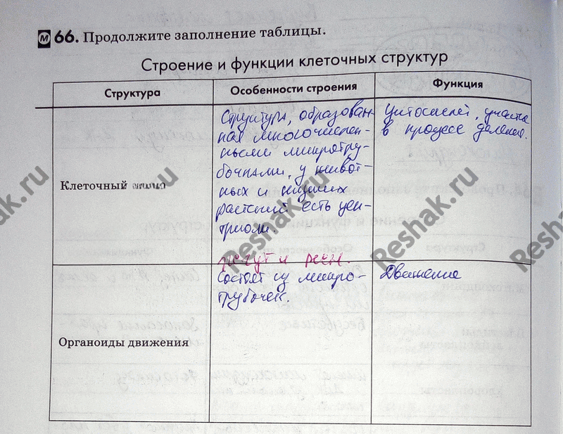 Иллюстрация к решению «Упр.66 ГДЗ Рабочая тетрадь Пасечник 9 класс (Биология)», 1