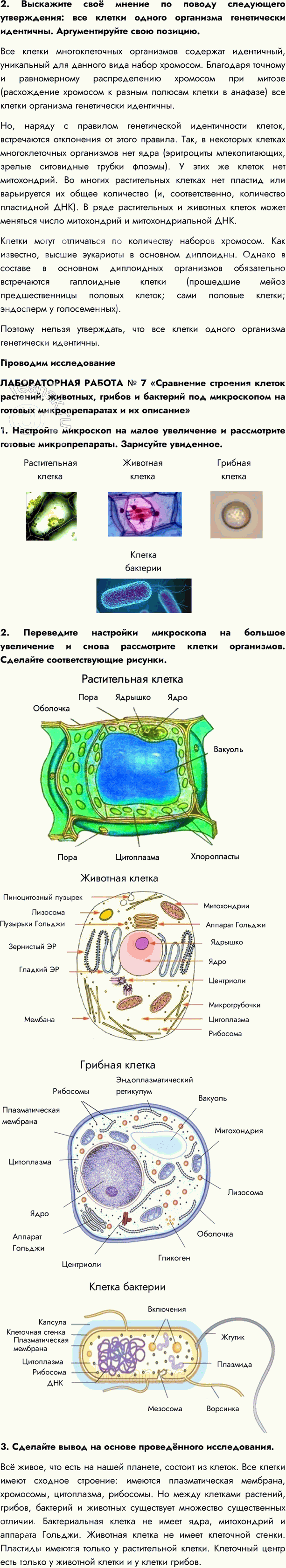 Иллюстрация к решению «Параграф 19 ГДЗ Пасечник 10 класс Углубленный уровень (Биология)», 7
