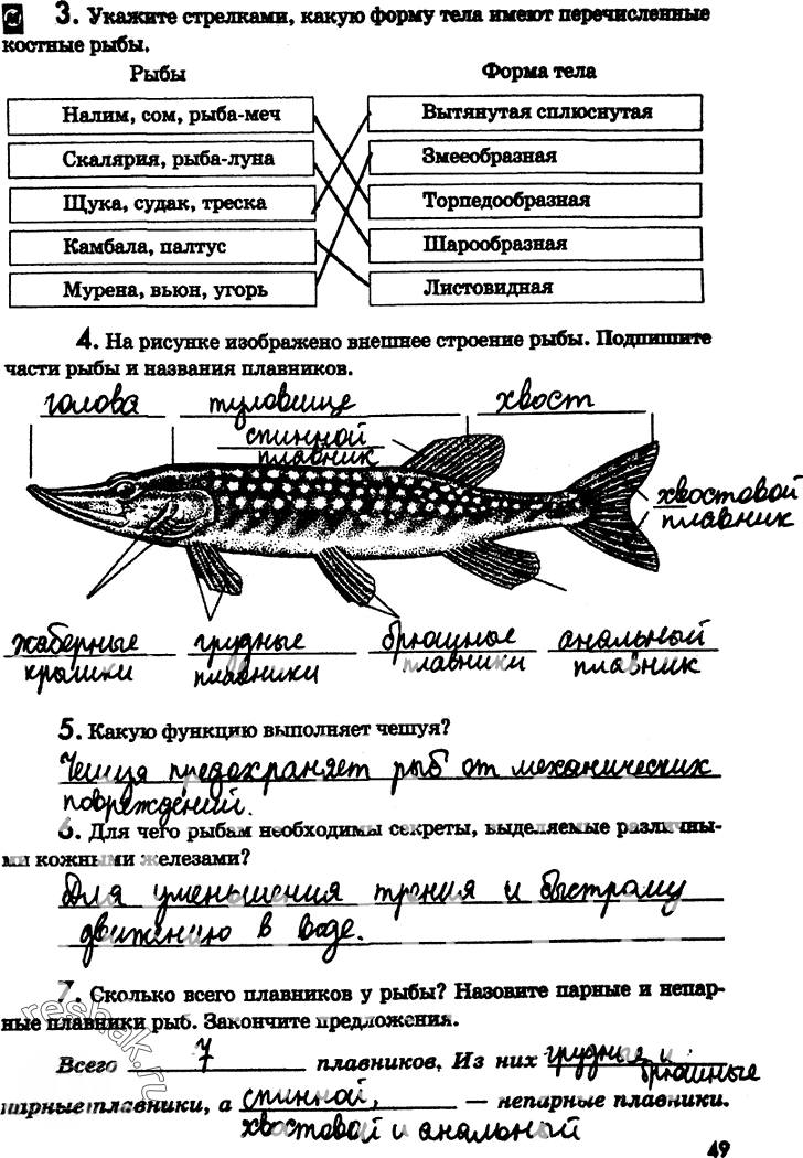 Иллюстрация к решению «Страница 49 с ответами ГДЗ Латюшин Рабочая тетрадь 7 класс (Биология)», 1