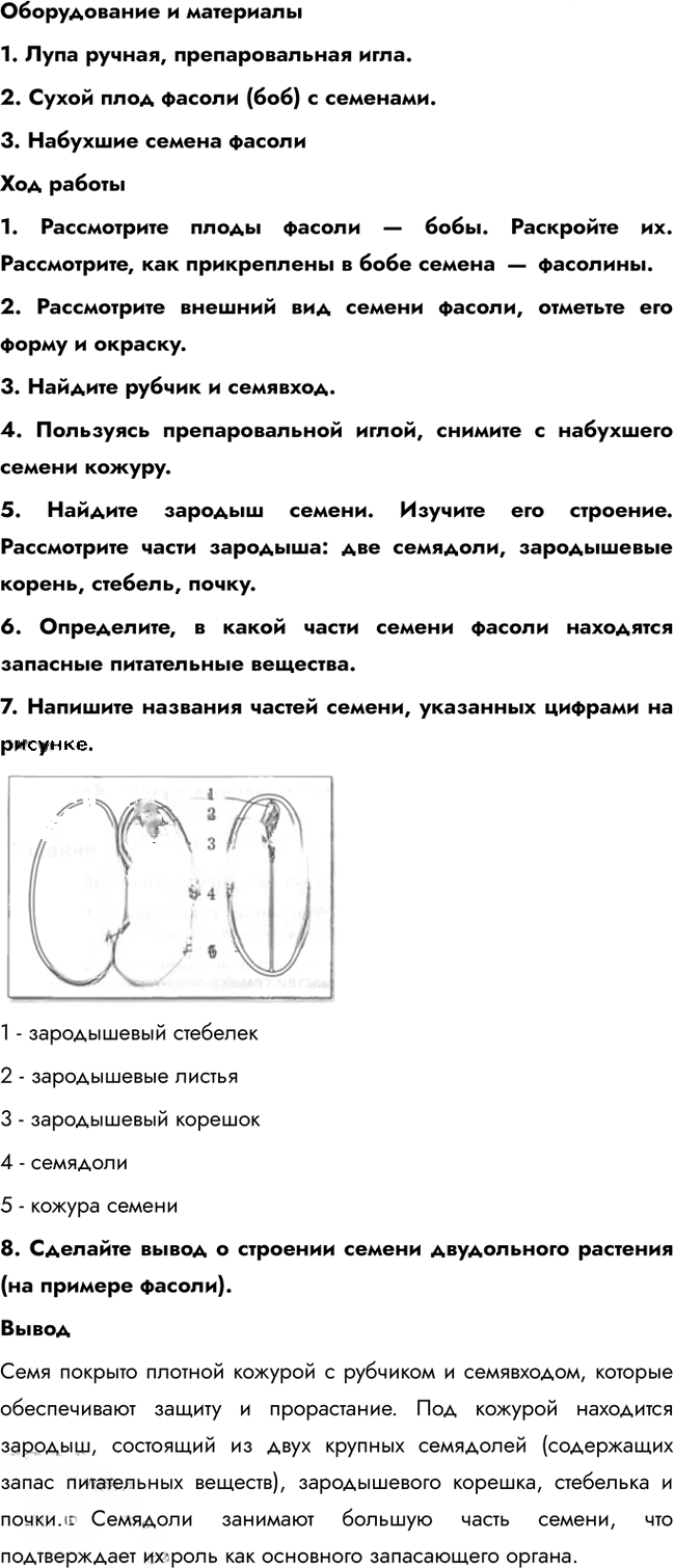 Иллюстрация к решению «Параграф 5 ГДЗ Рабочая тетрадь Пономарева 6 класс (Биология)», 2