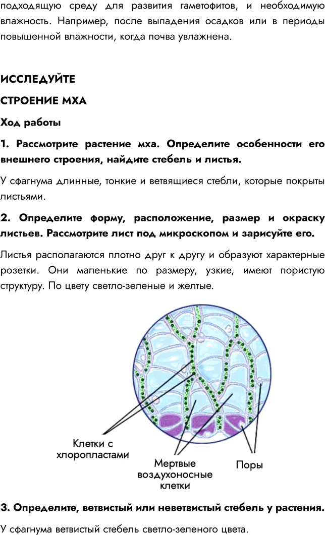 Иллюстрация к решению «Параграф 6 ГДЗ Пасечник Суматохин Гапонюк 7 класс (Биология)», 3