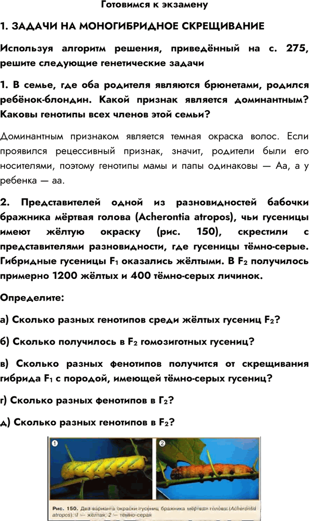 Иллюстрация к решению «Подготовка к экзамену Глава 3 ГДЗ Пасечник 10 класс Углубленный уровень (Биология)», 1