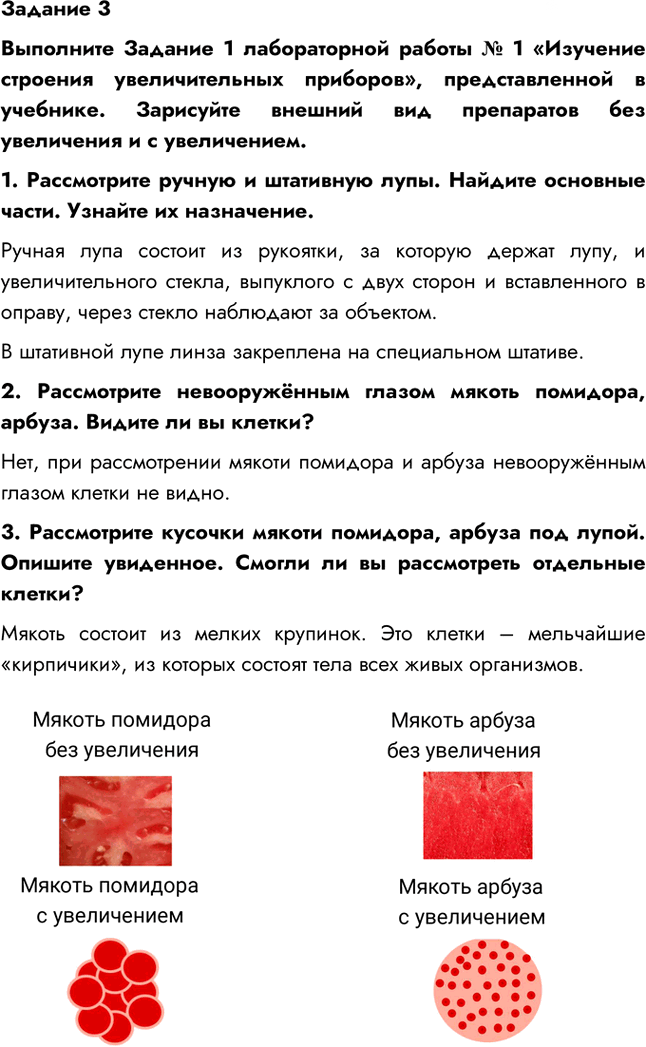 Иллюстрация к решению «Задание 3 Параграф 4 ГДЗ Рабочая тетрадь Пономарева 5 класс (Биология)», 1
