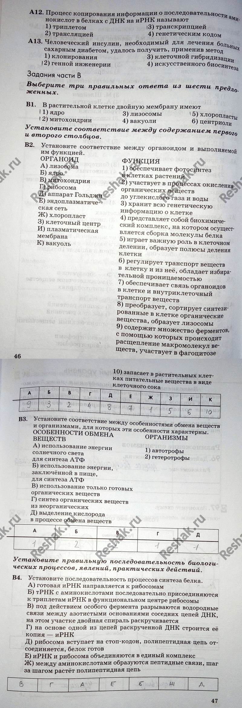 Иллюстрация к решению «Тренировочный тест после упр.95 ГДЗ Рабочая тетрадь Пасечник 9 класс (Биология)», 2