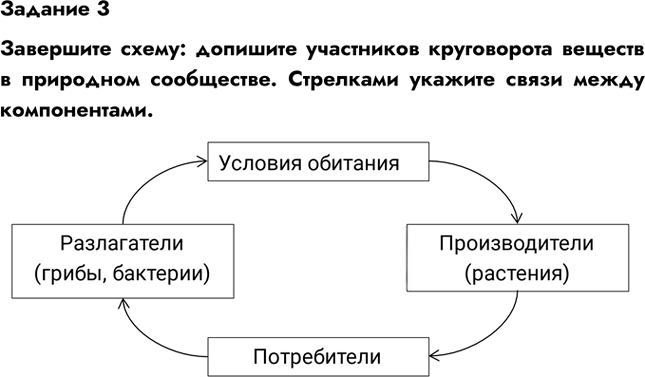 Иллюстрация к решению «Задание 3 Параграф 20 ГДЗ Рабочая тетрадь Пономарева 5 класс (Биология)», 1