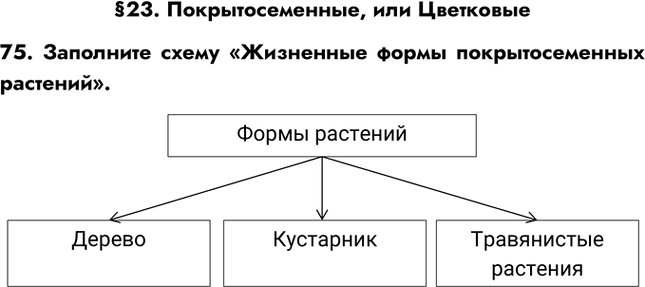 Иллюстрация к решению «Задание 75 ГДЗ Рабочая тетрадь Пасечник 5 класс (Биология)», 1