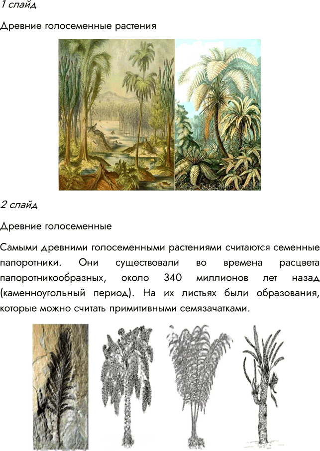 Иллюстрация к решению «Параграф 8 ГДЗ Пасечник Суматохин Гапонюк 7 класс (Биология)», 8