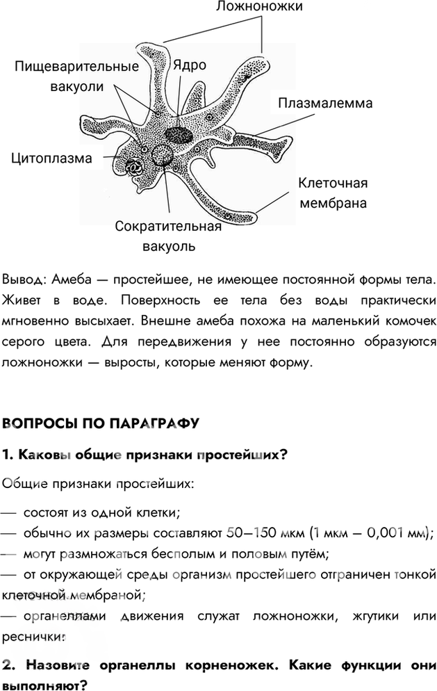 Иллюстрация к решению «Параграф 3 ГДЗ Пасечник 7 класс (Биология)», 2