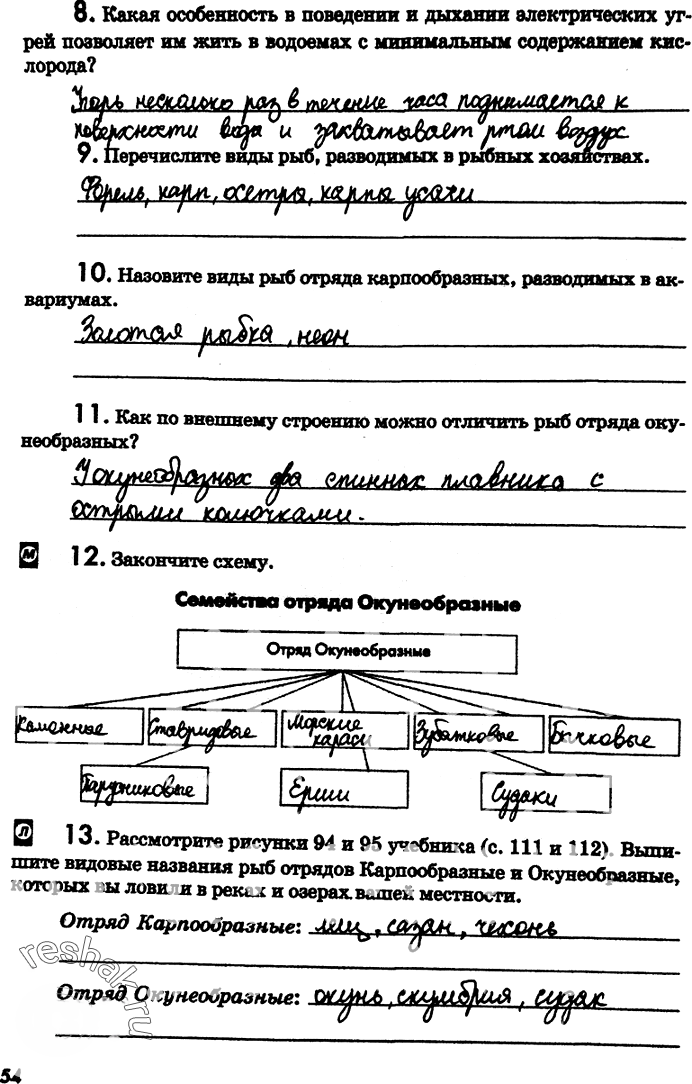 Иллюстрация к решению «Страница 54 с ответами ГДЗ Латюшин Рабочая тетрадь 7 класс (Биология)», 1