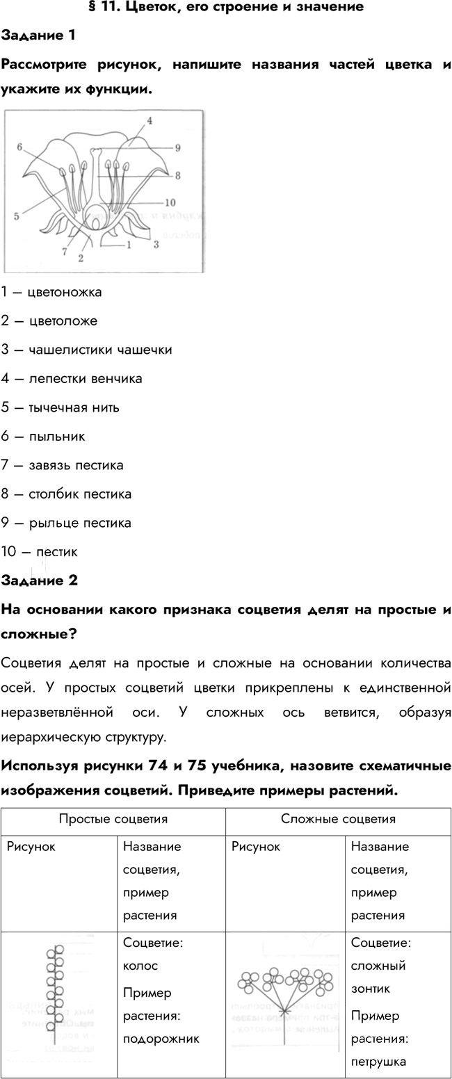 Иллюстрация к решению «Параграф 11 ГДЗ Рабочая тетрадь Пономарева 6 класс (Биология)», 1