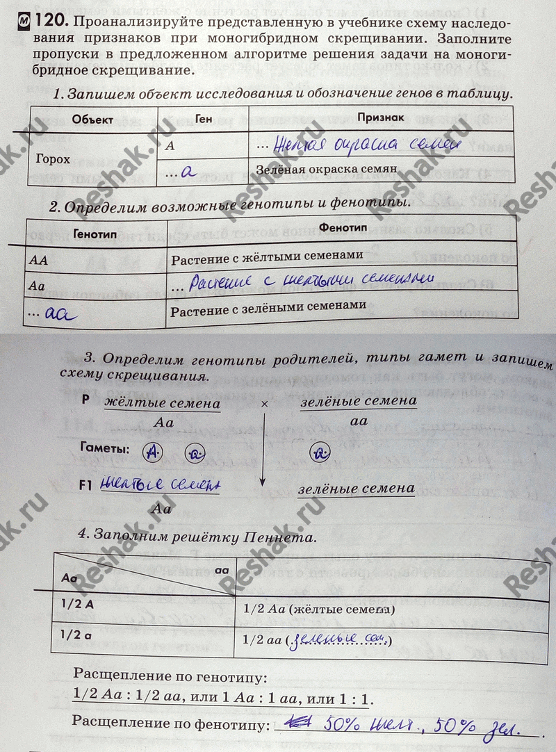 Иллюстрация к решению «Упр.120 ГДЗ Рабочая тетрадь Пасечник 9 класс (Биология)», 1