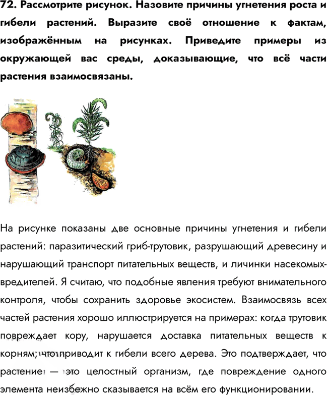 Иллюстрация к решению «Задание 72 ГДЗ Рабочая тетрадь Сонин 6 класс (Биология)», 1