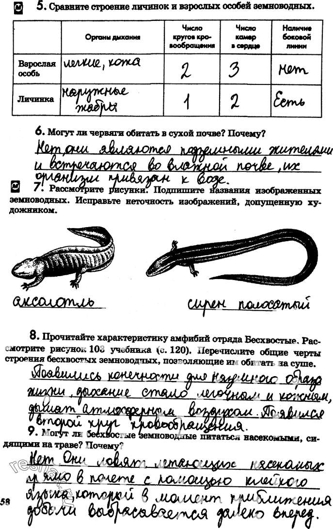 Иллюстрация к решению «Страница 58 с ответами ГДЗ Латюшин Рабочая тетрадь 7 класс (Биология)», 1