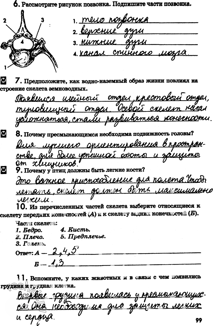 Иллюстрация к решению «Страница 99 с ответами ГДЗ Латюшин Рабочая тетрадь 7 класс (Биология)», 1