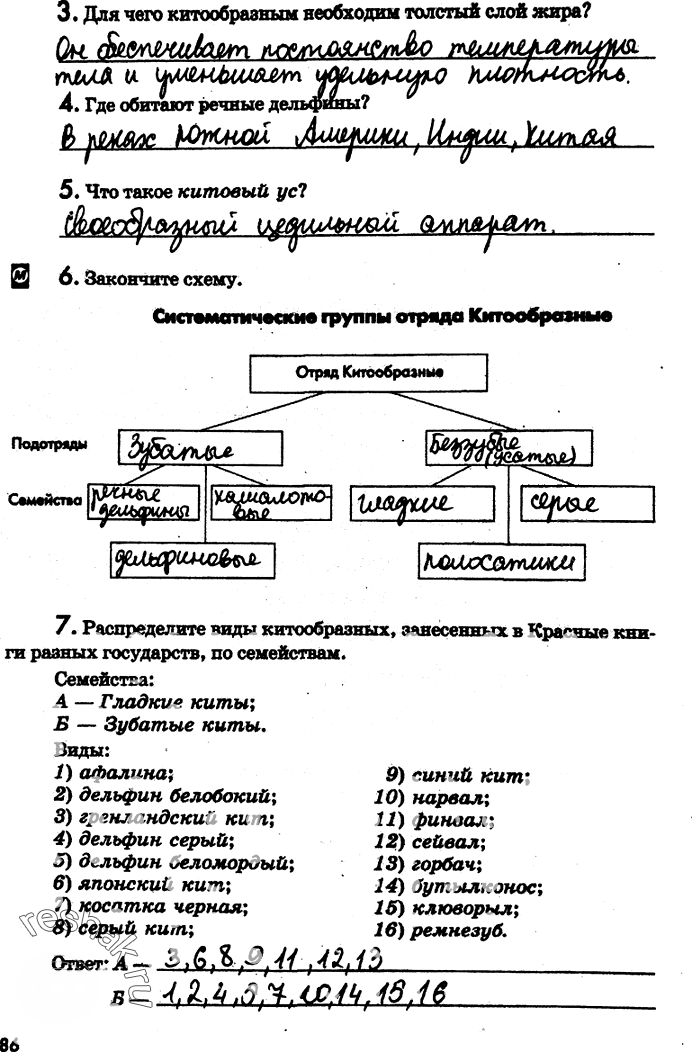 Иллюстрация к решению «Страница 86 с ответами ГДЗ Латюшин Рабочая тетрадь 7 класс (Биология)», 1