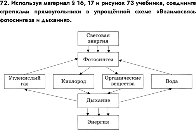 Иллюстрация к решению «Задание 72 ГДЗ Рабочая тетрадь Пасечник 6 класс (Биология)», 1