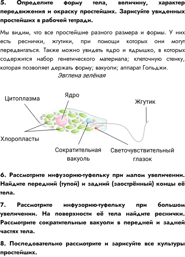 Иллюстрация к решению «Параграф 4 ГДЗ Пасечник 7 класс (Биология)», 2