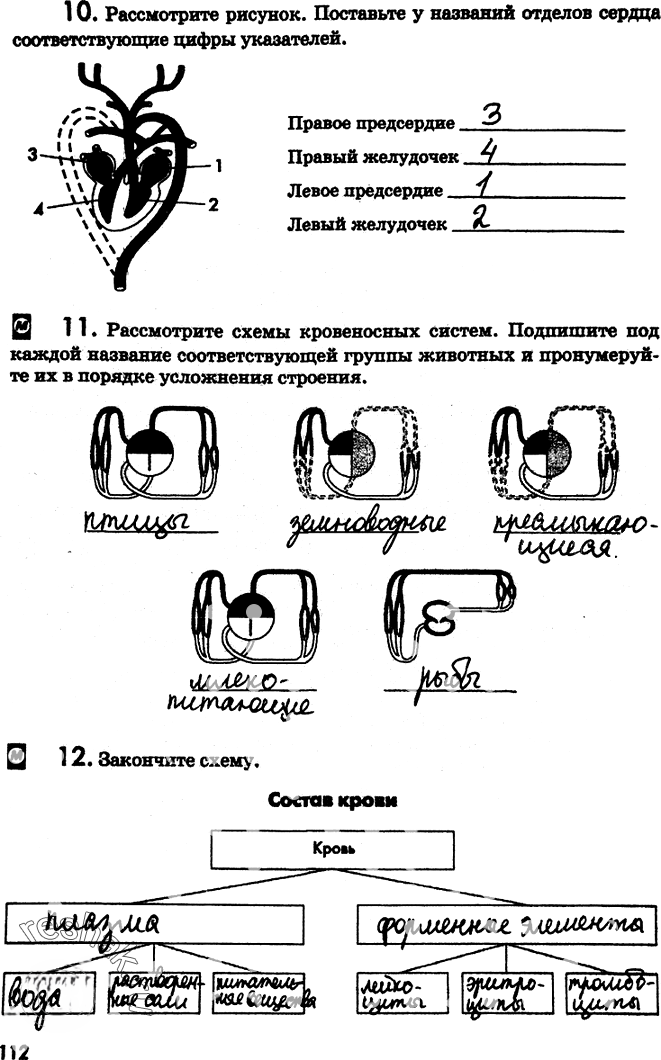 Иллюстрация к решению «Страница 112 с ответами ГДЗ Латюшин Рабочая тетрадь 7 класс (Биология)», 1