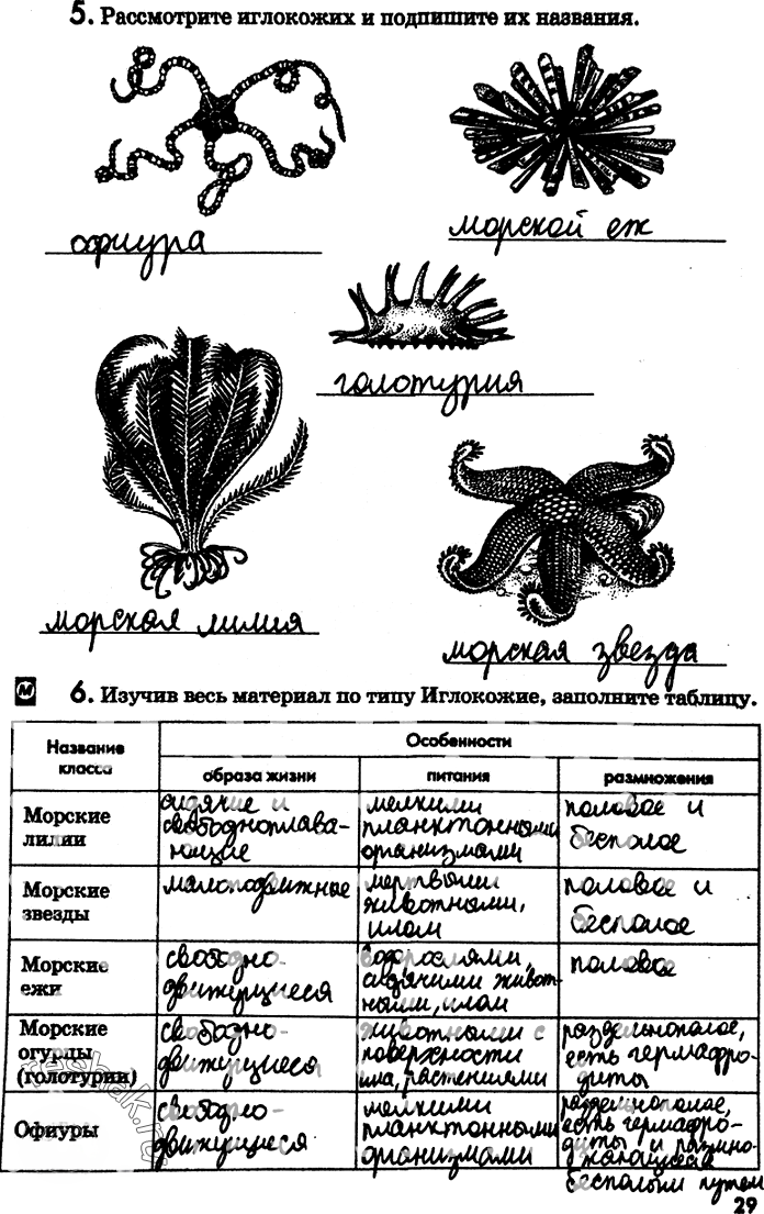 Иллюстрация к решению «Страница 29 с ответами ГДЗ Латюшин Рабочая тетрадь 7 класс (Биология)», 1