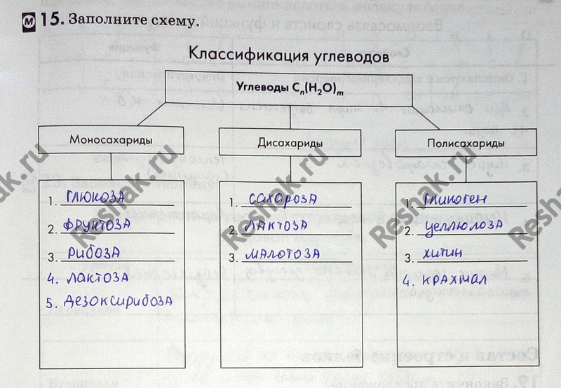 Иллюстрация к решению «Упр.15 ГДЗ Рабочая тетрадь Пасечник 9 класс (Биология)», 1