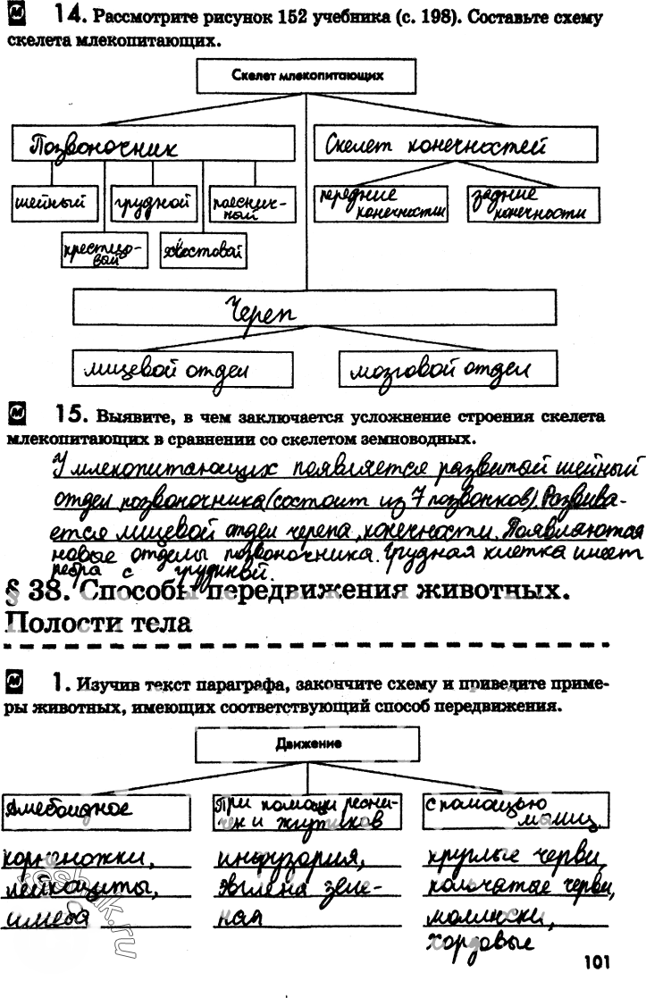 Иллюстрация к решению «Страница 101 с ответами ГДЗ Латюшин Рабочая тетрадь 7 класс (Биология)», 1