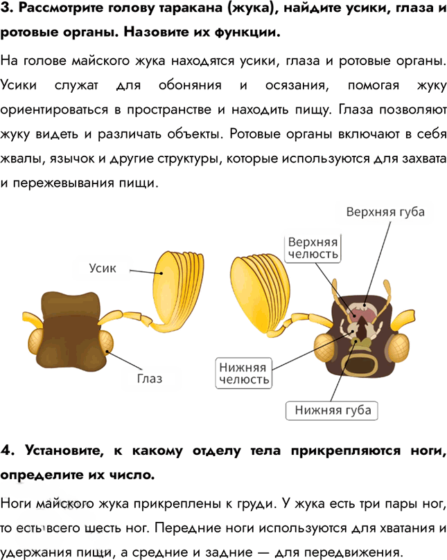 Иллюстрация к решению «Страницы 119-120 ГДЗ Константинов Бабенко 7 класс (Биология)», 2