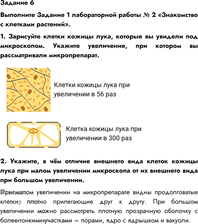 Иллюстрация к решению «Задание 6 Параграф 5 ГДЗ Рабочая тетрадь Пономарева 5 класс (Биология)», 1
