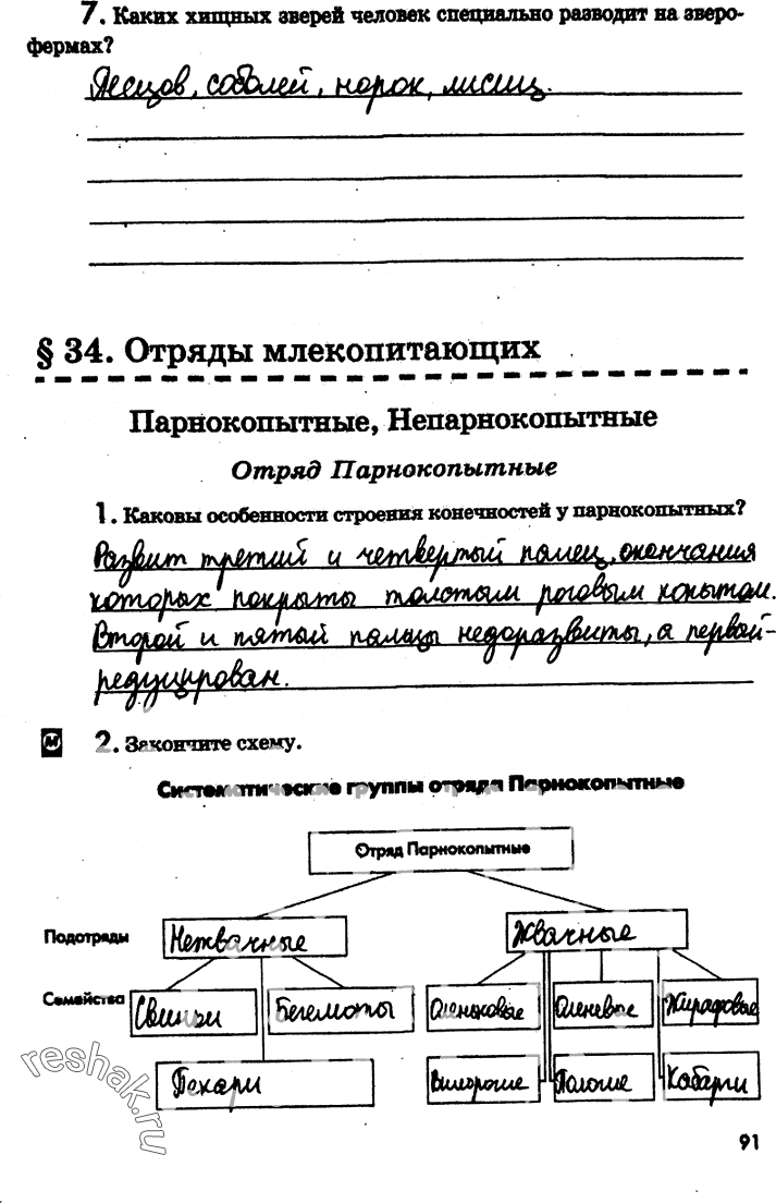 Иллюстрация к решению «Страница 91 с ответами ГДЗ Латюшин Рабочая тетрадь 7 класс (Биология)», 1
