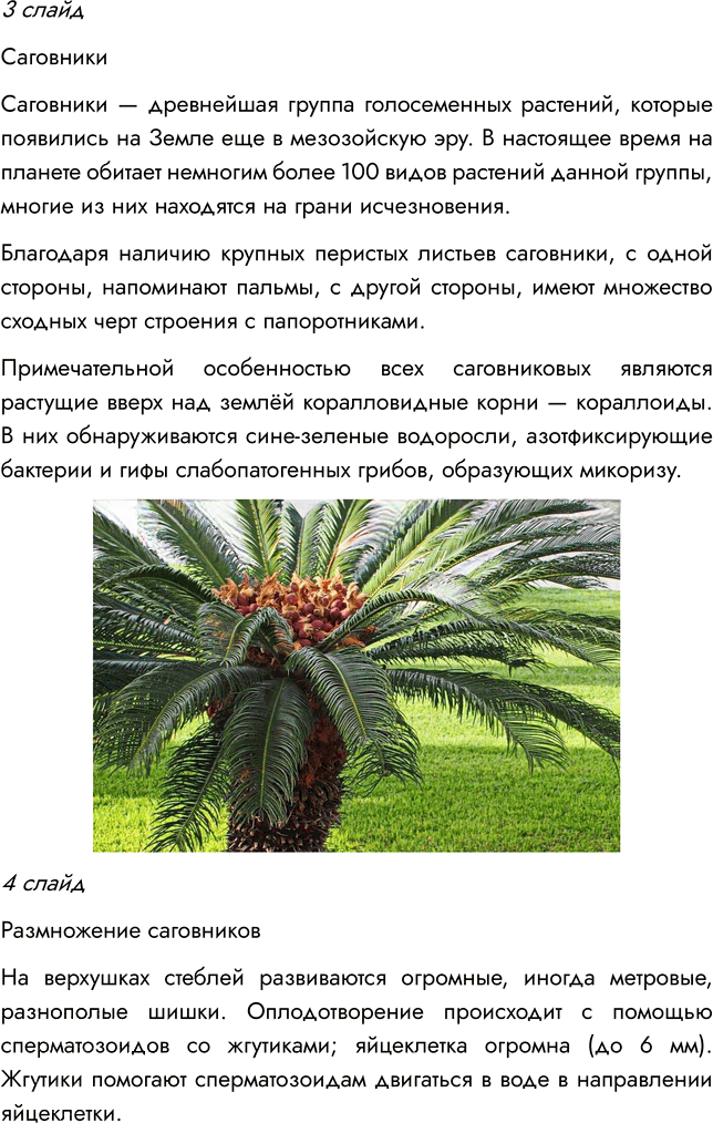 Иллюстрация к решению «Параграф 8 ГДЗ Пасечник Суматохин Гапонюк 7 класс (Биология)», 9