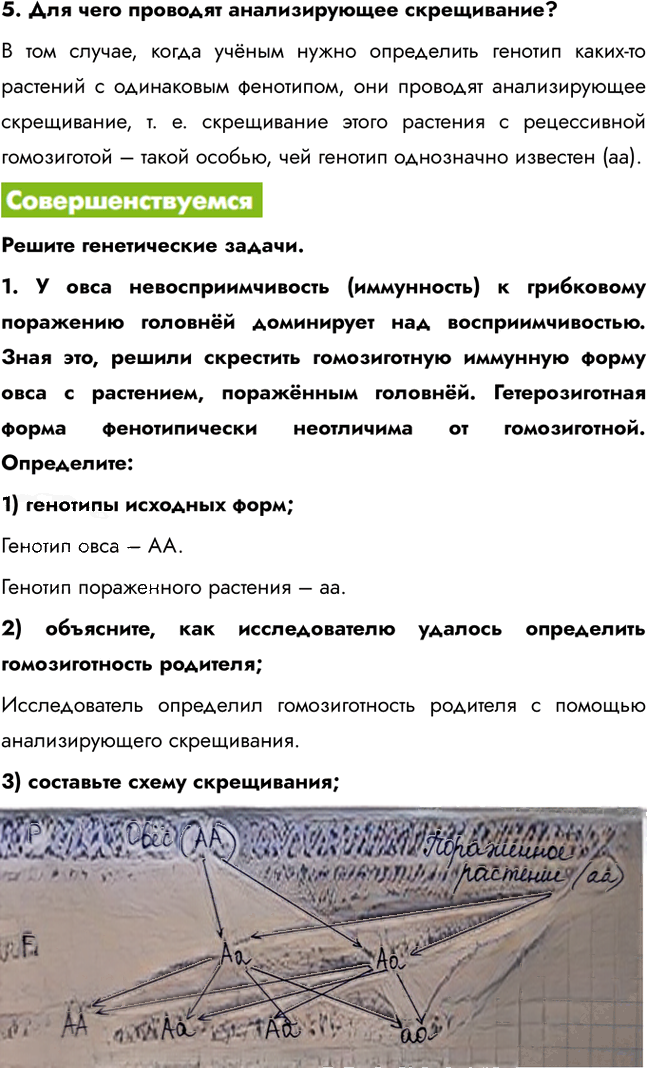 Иллюстрация к решению «Параграф 5 ГДЗ Пасечник 11 класс (Биология)», 3