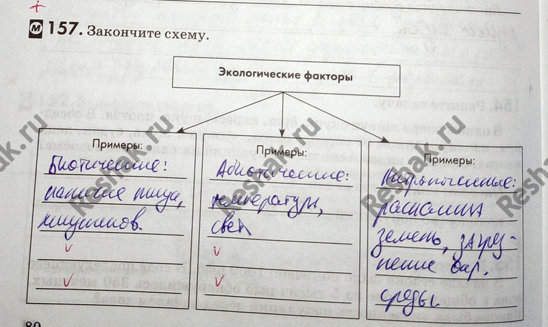 Иллюстрация к решению «Упр.157 ГДЗ Рабочая тетрадь Пасечник 9 класс (Биология)», 1