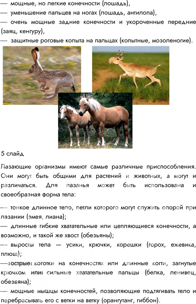 Иллюстрация к решению «Параграф 29 ГДЗ Пасечник 7 класс (Биология)», 6
