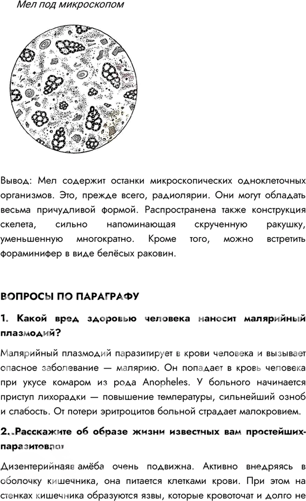 Иллюстрация к решению «Параграф 5 ГДЗ Пасечник 7 класс (Биология)», 2